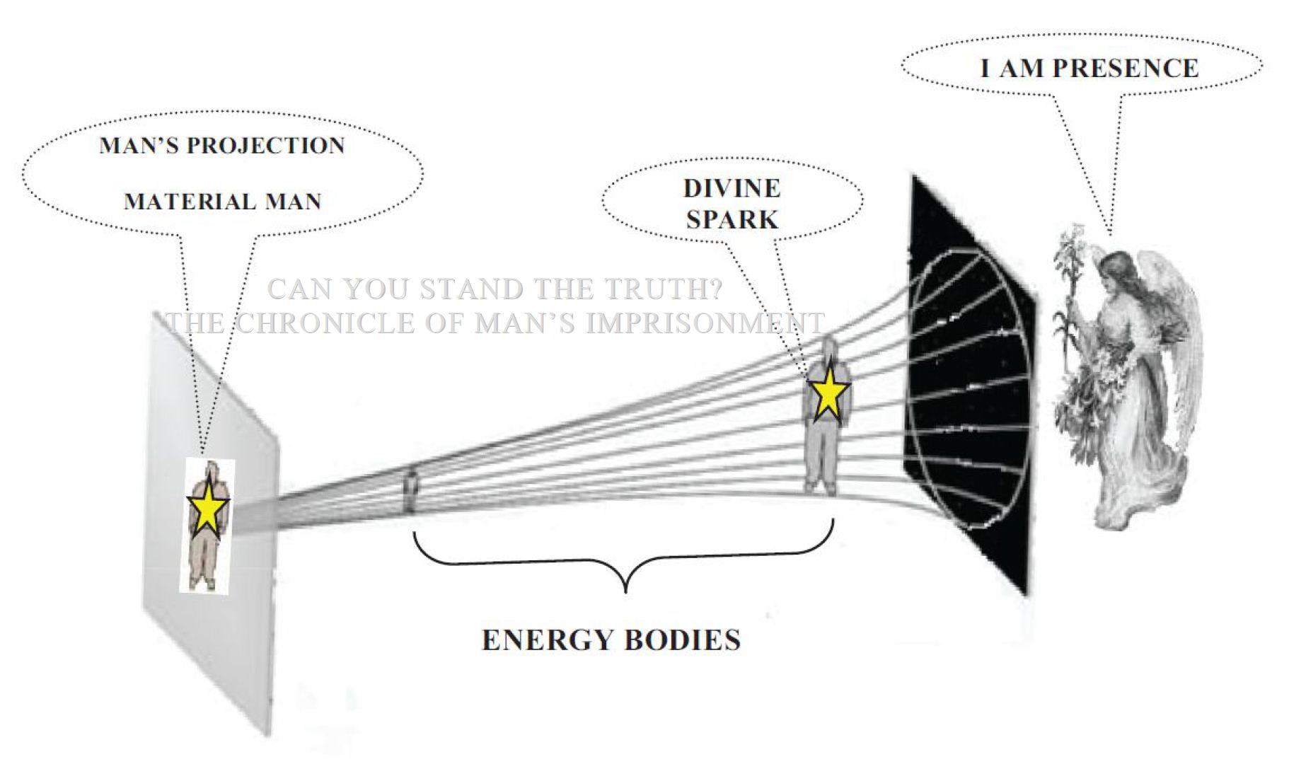 projectionenergy bodies, The energy bodies of man