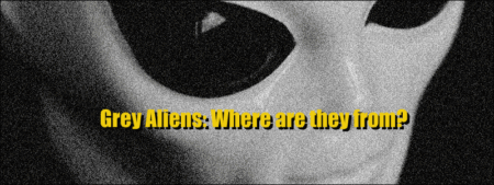 zeta.head | GREY ALIENS: WHERE ARE THEY FROM?