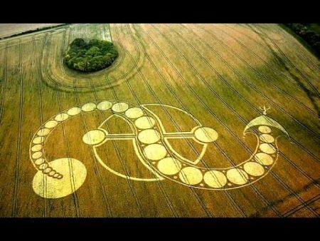agroglyphe2 | WHAT IS THE REASON BEHIND CROP CIRCLES?