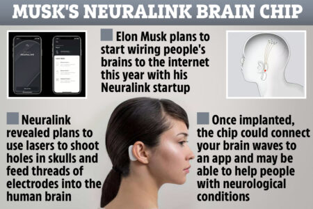 DD COMP MUSKS BRAIN CHIP | Mind Games: Elon Musk wants to connect your BRAIN to a computer